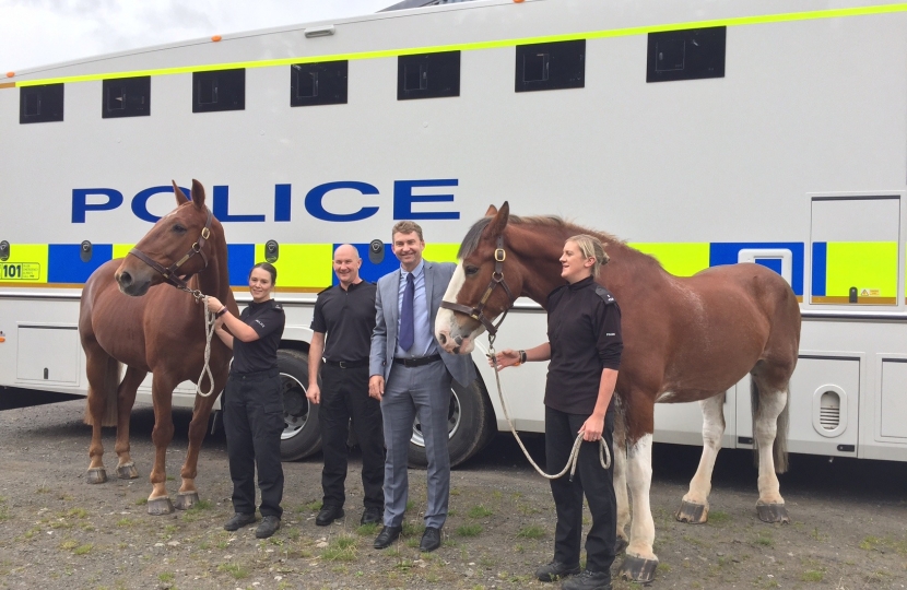 PolScotHorses