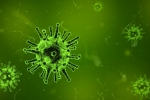 Coronavirus